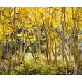 thumbnail image 2 of Talbot Frank, Christopher 17x15 Gold Ornate Wood Framed with Double Matting Museum Art Print Titled - California, Sierra Nevada, Fall colors of Aspens, 2 of 4