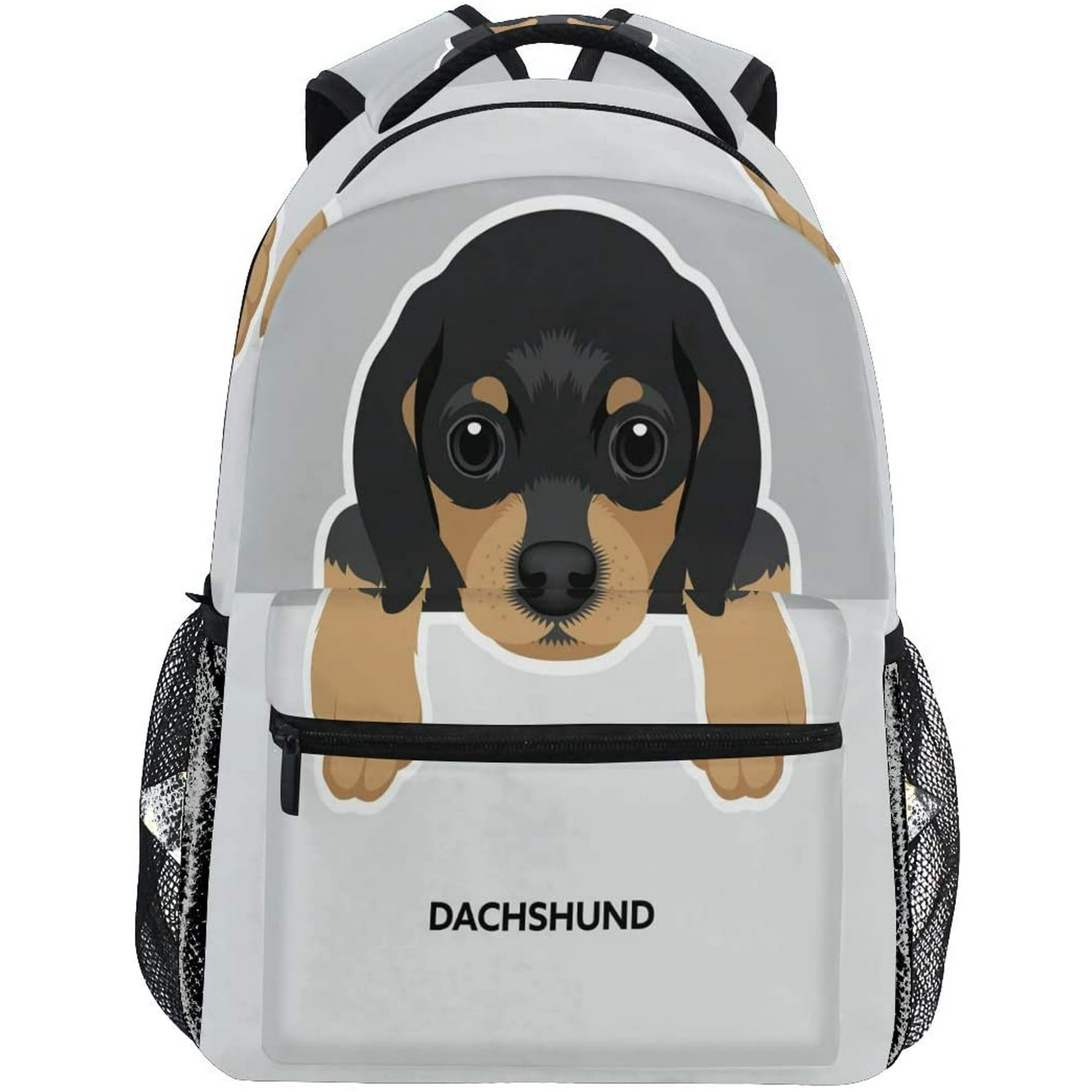 A Backpack U Can Put Your Dog In