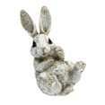 thumbnail image 1 of KOPPERS HOME BUNNY ON BACK - PACK OF 6, 1 of 1