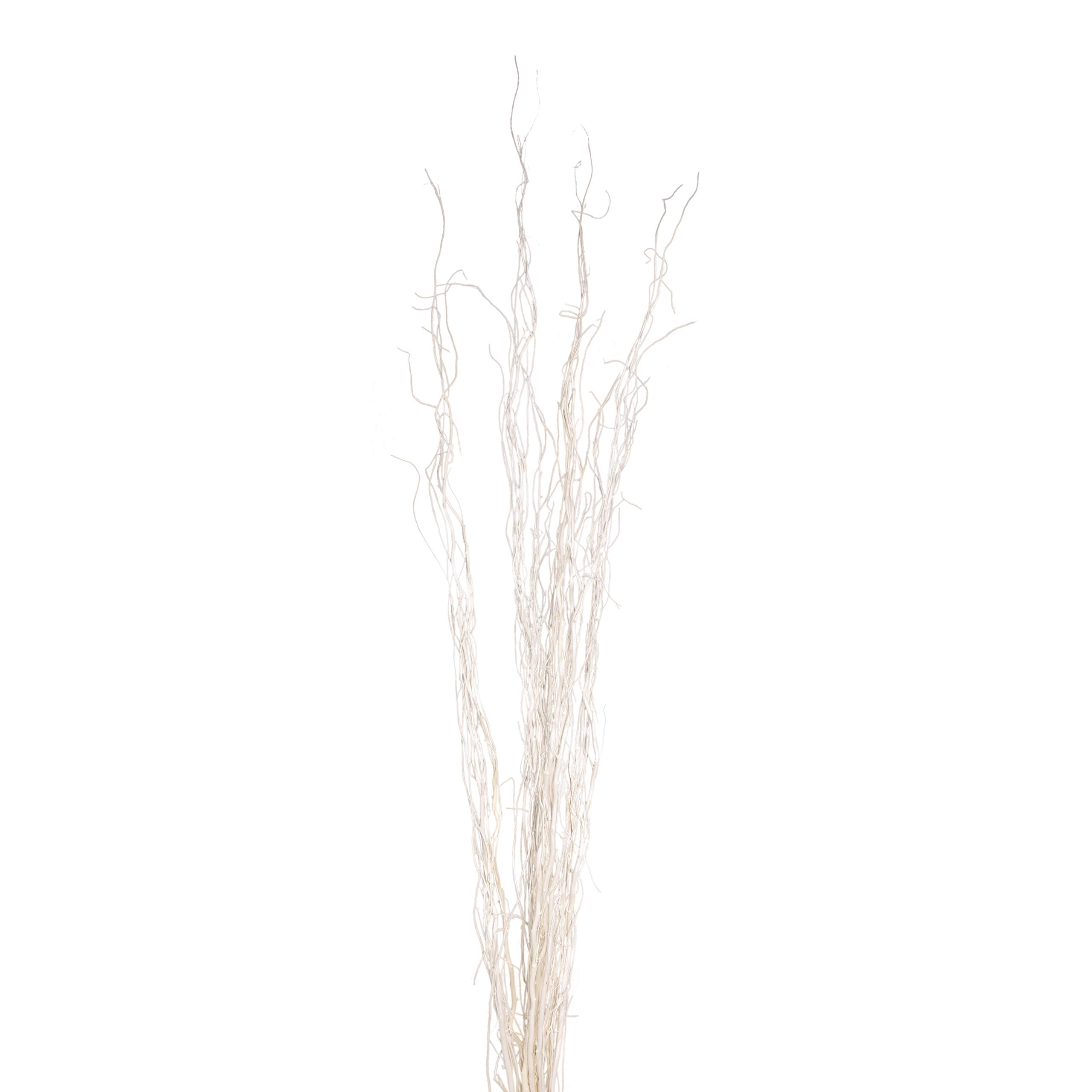 Green Floral Crafts 10 Stem Dried Curly Willow Branches 45 Feet Tall