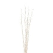 Green Floral Crafts | 10 Stem Dried Curly Willow Branches 4-5 Feet Tall - Perfect Home Decoration and Floor Vase Filler (White)