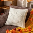 thumbnail image 2 of Pumpkin Throw Pillows 18 x 18 Inch, Plush Tufted Fall Thanksgiving Decor for Sofa Couch, 2 of 6