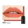 thumbnail image 1 of DNM Matte Lipstick Lápiz labial giratorio 19 colores Crayon Lipstick Lip yeacher  Lápiz labial de crayón, 1 of 7