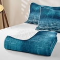 thumbnail image 4 of Erosebridal Marine Sea Bed Spread Queen, Coastal Beach Queen Coverlet Set, Reversible 3-Piece, 1 Quilt and 2 Pillowcases, 4 of 7