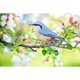 thumbnail image 1 of Pintura de diamante (DE5571) Kits 5D Pájaro en rama Imagen cuadrada Artesanía 50x70cm FLhrweasw Nuevo, 1 of 1