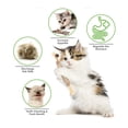 thumbnail image 4 of Cat Toys Silvervine Chew Stick Polygonum Kitty Raffia Grass Cleaning Teeth Stick Natural Catnip Stuff Pet Cat Bite Hemp Rope Toy small 3pcs, 4 of 6