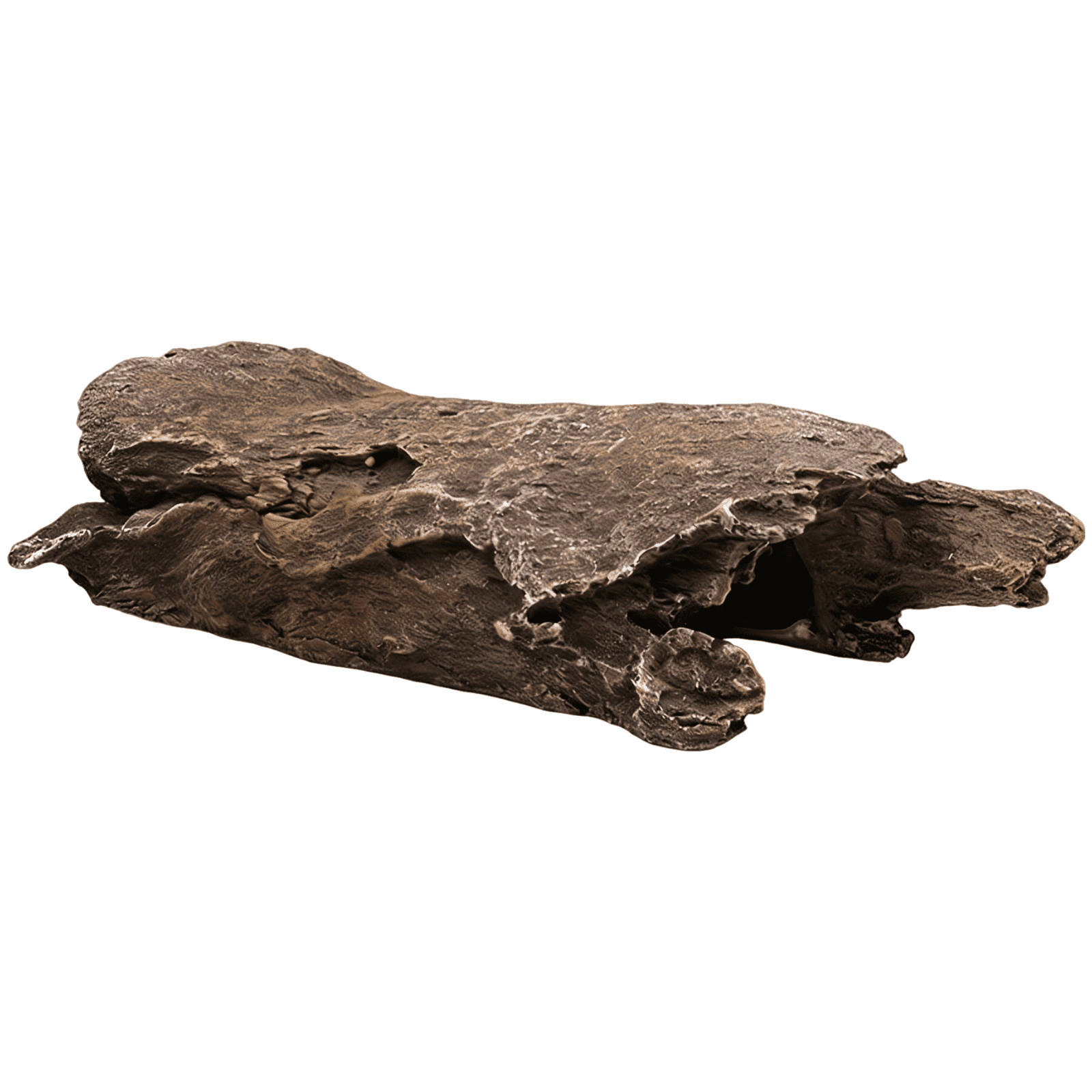 Large Resin Reptile Hideout, Realistic Bark Appearance Pet Cave with Hollow Design for Geckos Lizards Spiders Snakes, Safe Reptile Decor 9.8 x 3.1 x 2.4 in