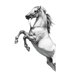 thumbnail image 3 of Adhesivos de pared elegantes de PVC saltando caballos, 38 x 90 cm, negro y blanco, 3 of 3