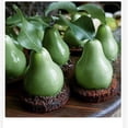 thumbnail image 4 of Dosaele Creative 3D Pear Shape Silicone Mousse Cake Molds Fruit Mould Bakeware Kitchen Baking Tool Decorating Supplies for Chocolate Chiffon Ice Creams Dessert Bakeware DIY Ice Cube Tray Decorating, 4 of 5