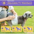 thumbnail image 2 of PetsWorld Super Absorbent Comfort Fit Disposable Male Dog Wraps, 50 count, Large: 21 to 30-in, 2 of 5