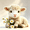 Cute Sheep White Daisy Flowers*2, variant on Diamond Painting Kits for Adults Cute Palomino Mini Pony,Baby Horse Flower 5D Diamond Painting Dots Art Kits Full Round Drill Gem Crystal Art Paint Home Wall Decor 8x12 Inch