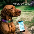 thumbnail image 2 of Collier pour Animal de Compagnie à Connexion BT avec Contrôle par Application, Collier pour Chien Rechargeable par USB la Nuit, 8 Modes d'Affichage, Contenu DIY, Animation Intégrée, Collier Lumineux, Collier à DEL Numérique, 2 of 8