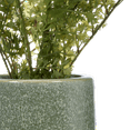 thumbnail image 2 of Bouclair Green Artificial Fern in Ceramic Pot, 2 of 3