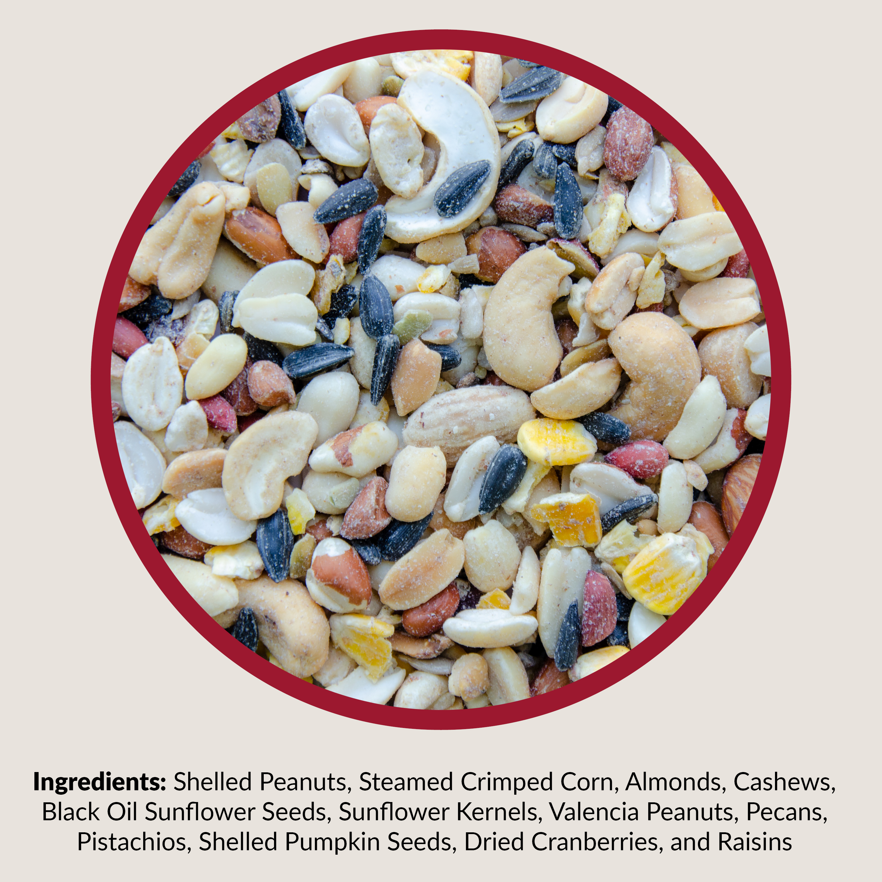 Buy Lyric Fruit and Nut Wild Bird Seed, High Energy Wild Bird Food Mix ...