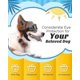 thumbnail image 3 of Small Dog Sunglasses Uv Protection Goggles Eye Wear Protection With Adjustable Strap Water, 3 of 4