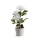 thumbnail image 1 of Naiovety Luz LED solar Bonsai único Lámpara de maceta Planta en maceta Luces de rosas Jardín Lámparas de noche Césped Dormitorio Hogar Decoración del hogar Blanco, 1 of 6