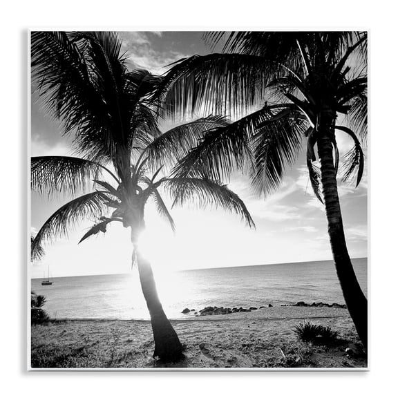 Stupell Industries Sunlit Palm Silhouettes Coastal Photography Unframed Art Print Wall Art, 12 x 12