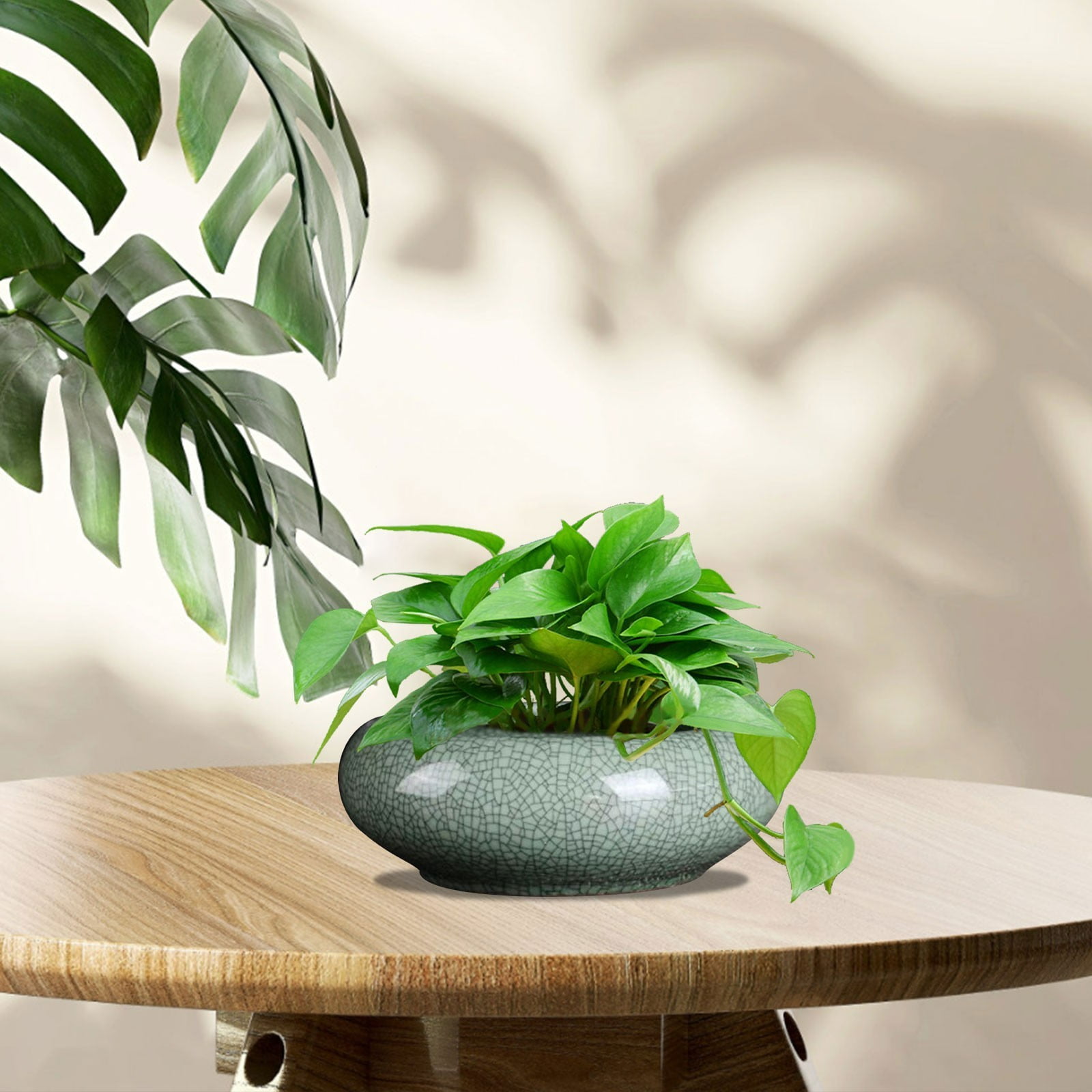 YardVibe Lotus Bowl Planter, Round Lotus Bowl, Ceramic Lotus Flower Bowl, Lotus Bowls for Planting in Water Indoors, Applicable to Bonsai Bowl Lotus Flower, Succulent Hydroponic Plant Home Decor