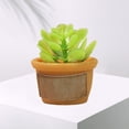 thumbnail image 4 of Casa de Plantas en Macetas CUTICAT 1/12 Bonsai Greenery Fairy Garden Set Adorno de Escritorio C Estilo, 4 of 7