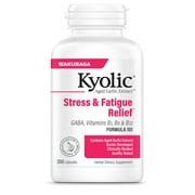 Kyolic Aged Garlic Extract Stress Fatigue Relief Formula 101 200 Capsules