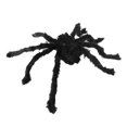 thumbnail image 2 of Bullpiano Halloween Spider Decorations, Realistic Hairy Spiders, Scary Spider Props for Indoor, Outdoor and Yard Creepy Decor, 2 of 9