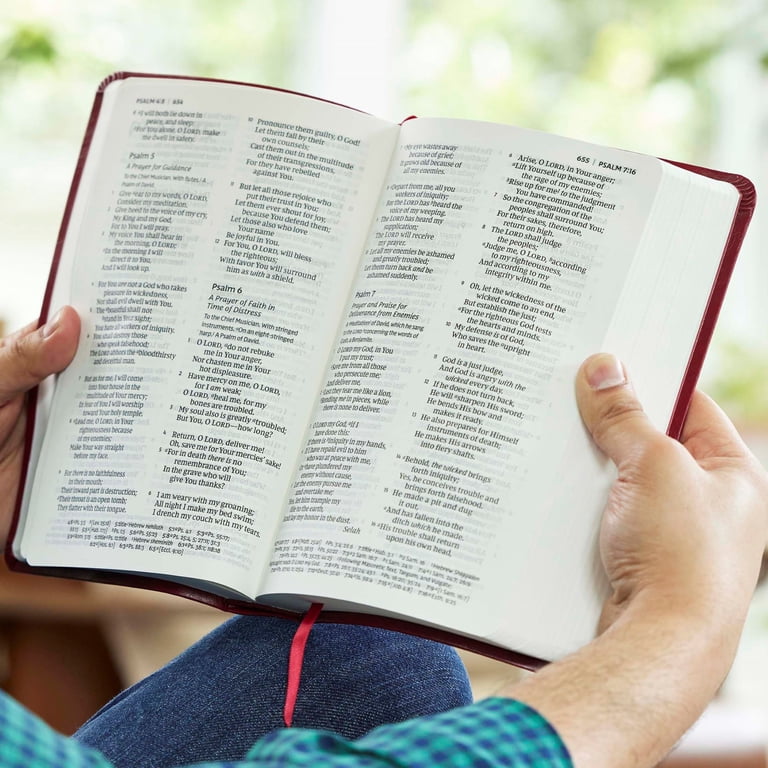 NKJV, Reference Bible, Personal Size, Leathersoft, Burgundy