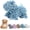 Blue, variant on Chenille Dog Hand Towel Fuzzy Dog Towel,10.2x5.1 Inch Dog Hand Towels for Bathroom Kitchen Fluffy Soft Absorbent (Gray)
