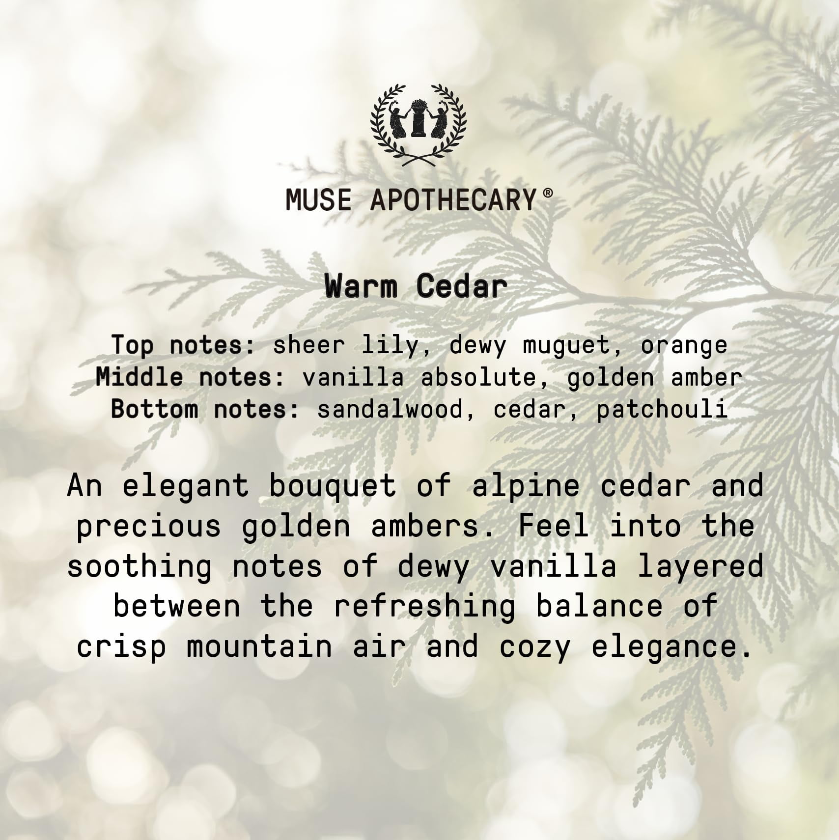 Muse Apothecary Pillow Ritual - Botanical Collection - Calming and Relaxing Pillow Mist, Linen and Fabric Spray - Infused with Natural Aromatherapy Essential Oils - 8 oz, Warm Cedar