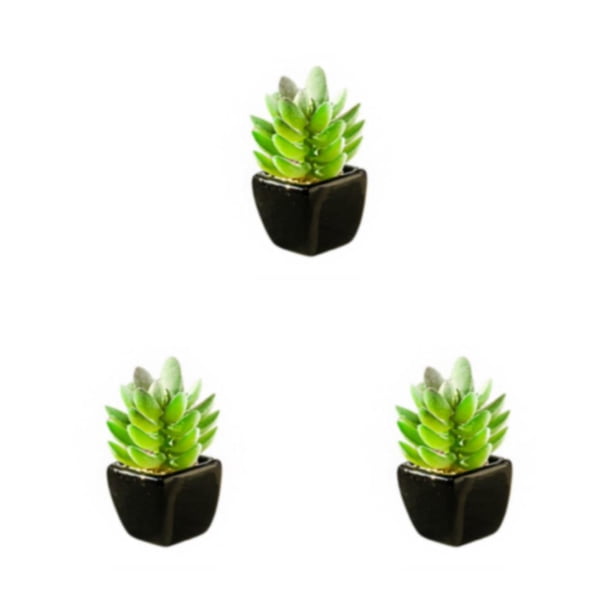 Bonsái de plantas en macetas de cerámica negra Toystoory suculenta verde artificial