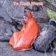 thumbnail image 3 of Abastado 2 set-Funda de emergencia-2*Impermeable naranja, 3 of 5