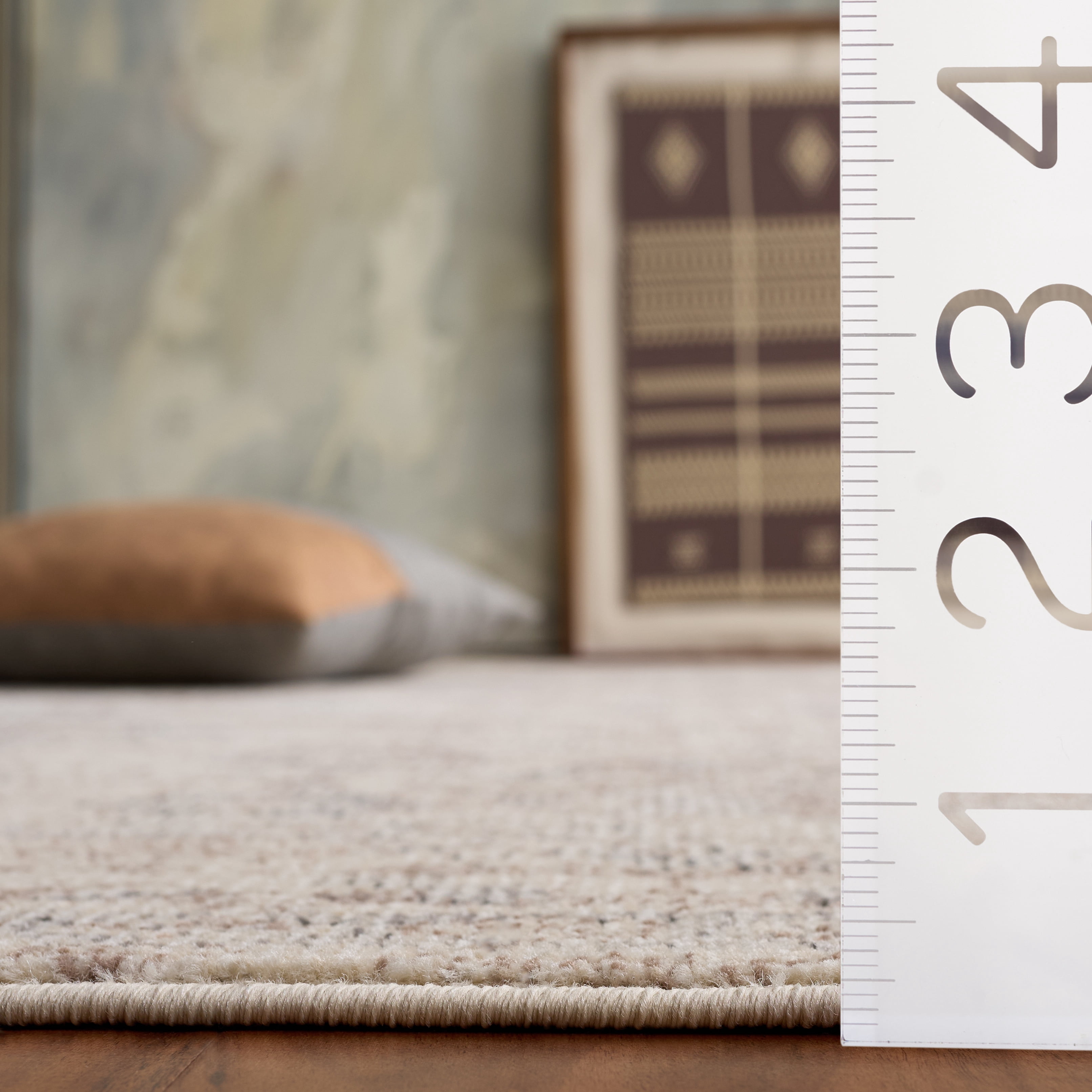 Safavieh Madison Audra Oriental Area Rug, Ivory/Beige Gray, 6' x 9'