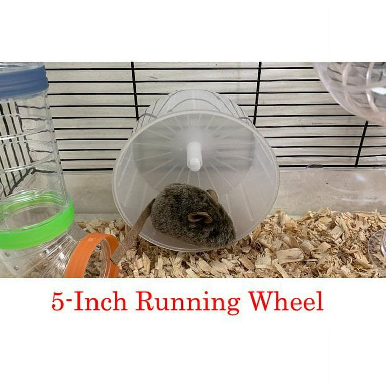 Large top syrian hamster