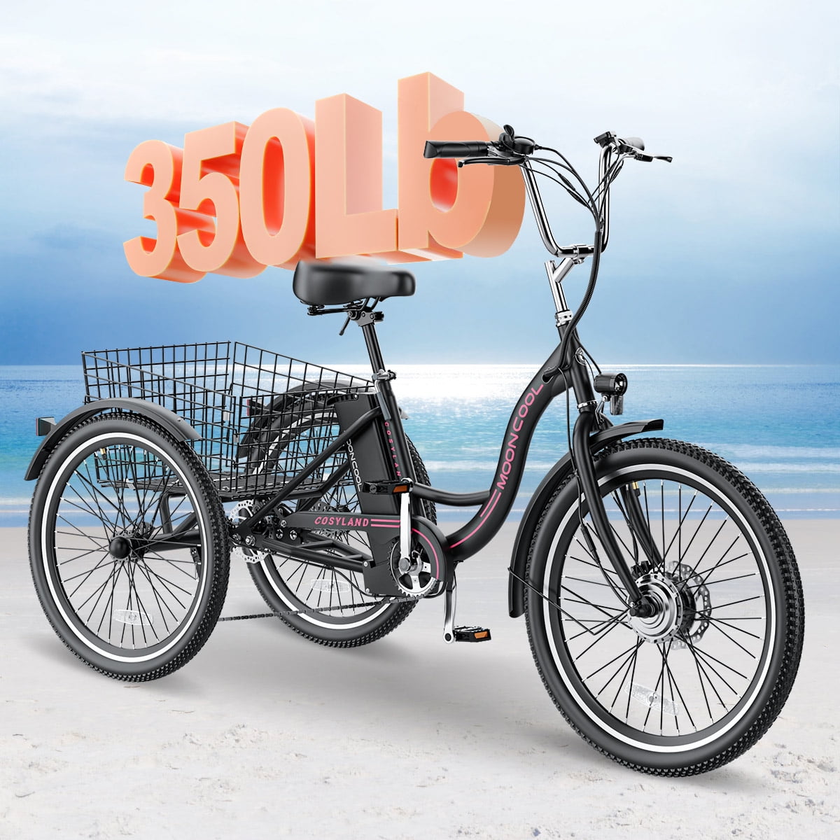 ABORON Electric Tricycle, 24 inch 3 Wheel Electric Bike for Senior