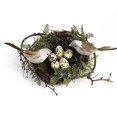 thumbnail image 1 of 1pc Jerarquía de Pájaro + 2pcs Pájaros Artificiales + 5pcs Huevos de Pájaro Fijados Miniatura Adorno Patio Juguete de Educación NiIño Multicolor Sunnimix Nidos de aves, 1 of 8