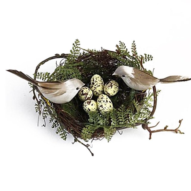 1pc Jerarquía de Pájaro + 2pcs Pájaros Artificiales + 5pcs Huevos de Pájaro Fijados Miniatura Adorno Patio Juguete de Educación NiIño Multicolor Sunnimix Nidos de aves