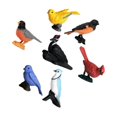 thumbnail image 1 of Simulation Oiseaux Modèle Jouet Plastique Animal Modèle Animal Miniature M4134, 1 of 6