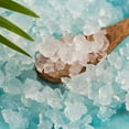 thumbnail image 5 of Cultures For Health Water Kefir Grains, DIY Probiotic Drink, Heirloom Style, 5 of 8