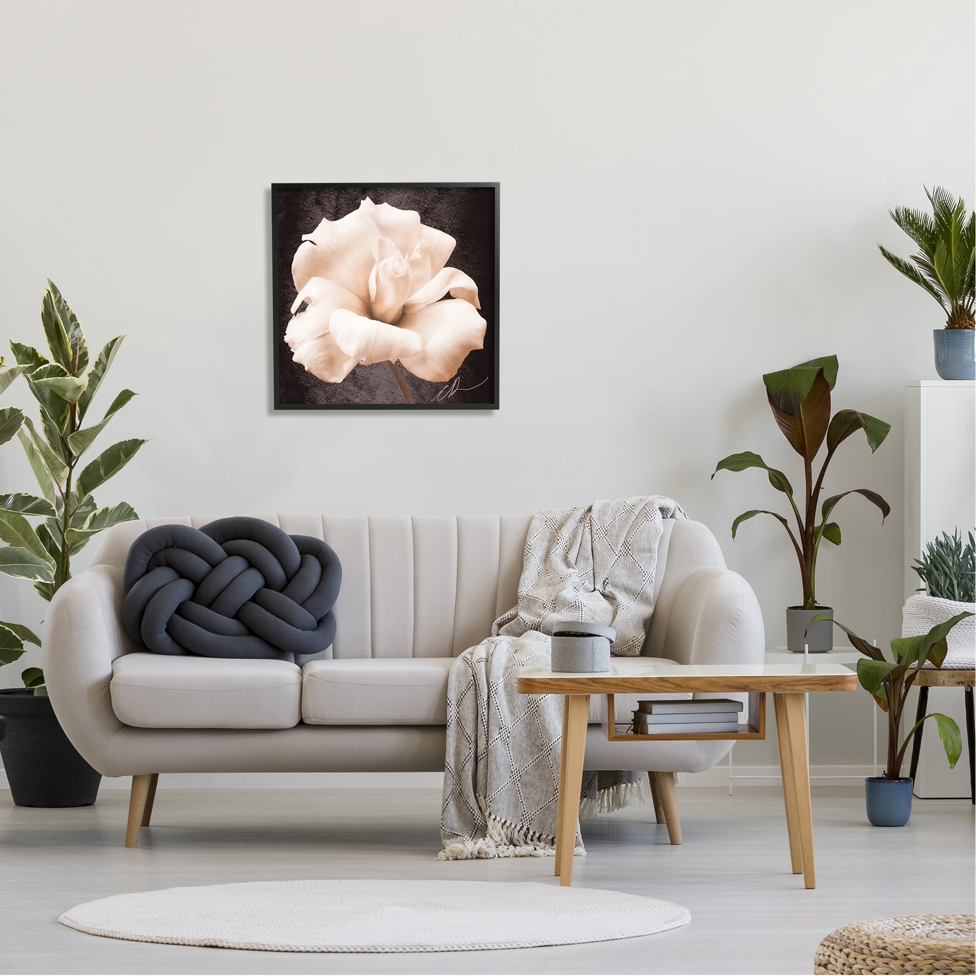 Stupell Industries Rose Petal Photography Botanical & Floral Painting Black Framed Art Print Wall Art, 24 x 24