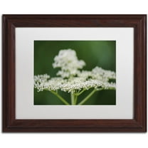 Trademark Fine Art "Nature is Amazing" Canvas Art by Kurt Shaffer, White Matte, Wood Frame