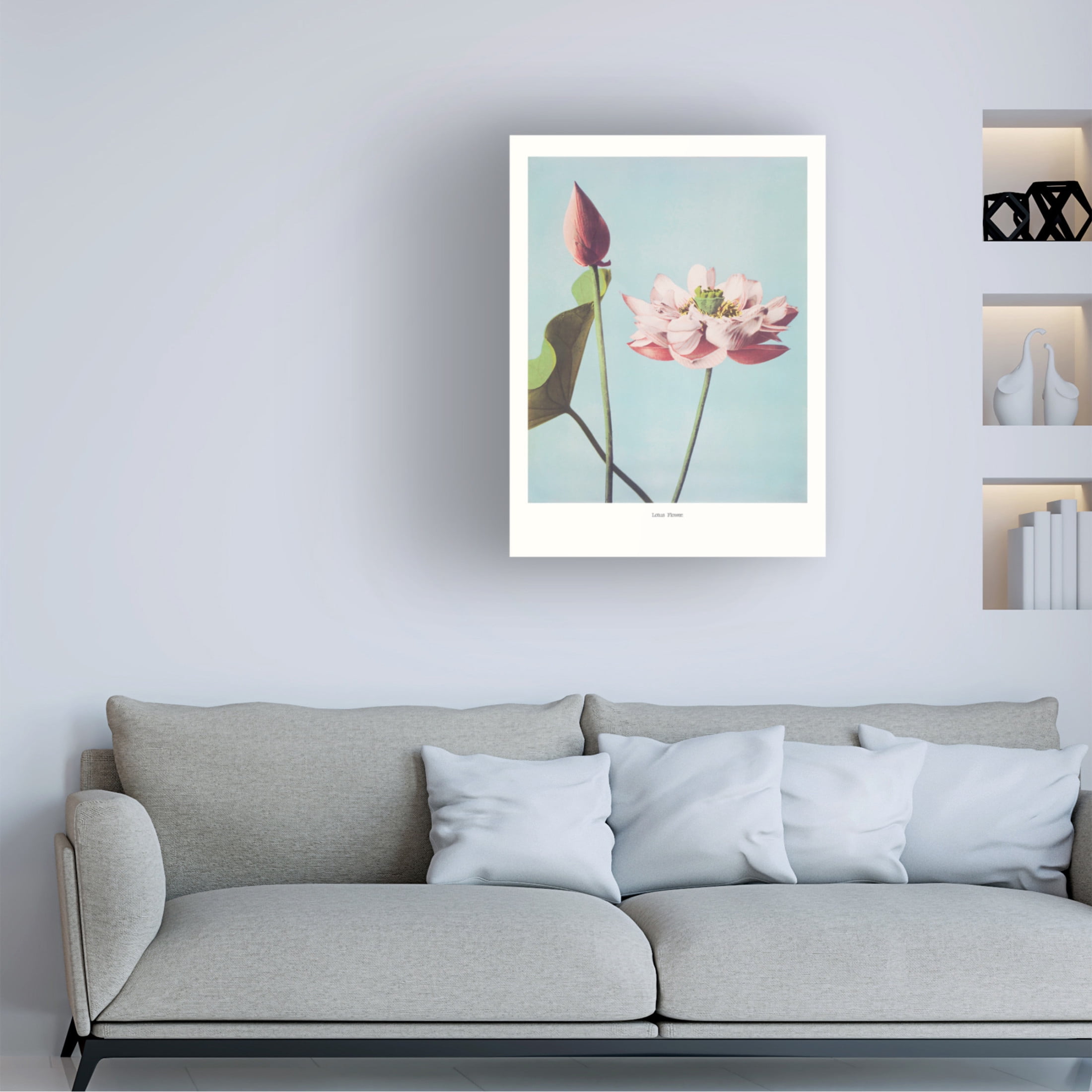 Trademark Fine Art Pictufy   Lotus Flowers Canvas Wall Art