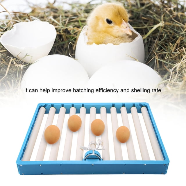 Turner automático de huevos, plástico duradero giratorio automático Turner de huevos patrón de rodillo Turner de huevos durabilidad mejorada