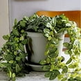 thumbnail image 5 of The HC Companies 24 Inch Indoor and Outdoor Flower Pot (6 Pack), 5 of 6