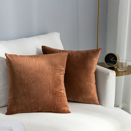 Clearance Decorative Throw Pillows Covers Set Of 2 Velvet Throw