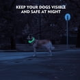 thumbnail image 3 of Miaocao Flashseen LED Dog Collar, USB Rechargeable Glowing Lighted Up Collar, Cuttable Water-Resistant TPU Safety Collar Lights for Small Medium Large Dogs, 3 of 7