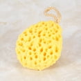 thumbnail image 3 of Fugacal Bola de ba?o de Esponja Suave Exfoliante, 4 Piezas Cuidado de la Piel orgánico Ducha SPA Limpieza Corporal Limpieza de Cepillo Fugacal  No se aplica, 3 of 4
