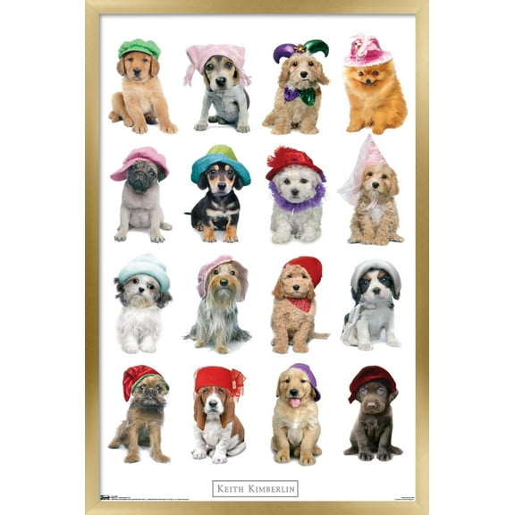 Keith Kimberlin - Puppies With Hats Wall Poster, 22.375" x 34", Framed