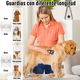 thumbnail image 4 of Maquina Rasuradora para Perros Cortadora Cortar Pelo Gatos Mascotas Silenciosa Motor Potente  Lab.G, Color Negro, 4 of 5