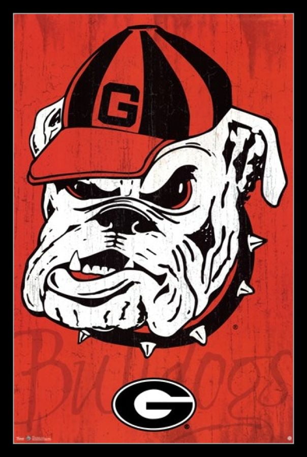 University of Georgia - Logo 13 Laminated & Framed Poster Print (24 x