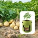 thumbnail image 5 of Bolsa de Tela para Cultivo de Patatas de 7 Galones | Contenedor Reutilizable para Plantas con Asas y Solapa | Maceta de Jardín Transpirable No Tejida para Verduras, Tomate, Cebolla, Zanahoria, 5 of 7