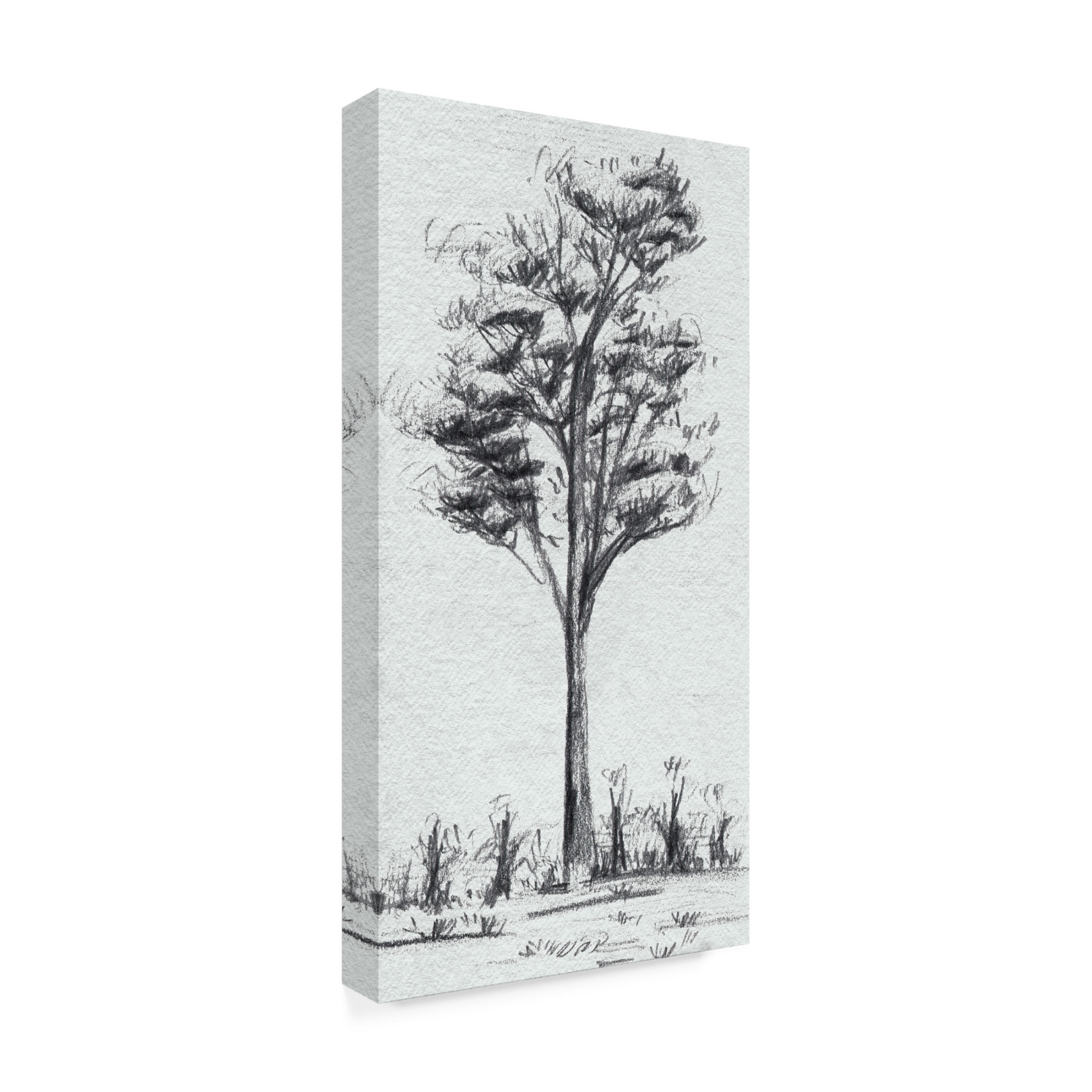 Canvas Wall Art - Melissa Wang 'Tree in the Woods III' Wall Art for Living Room, Bedroom, or Office Décor by Trademark Fine Art - 12 x 24 Inches